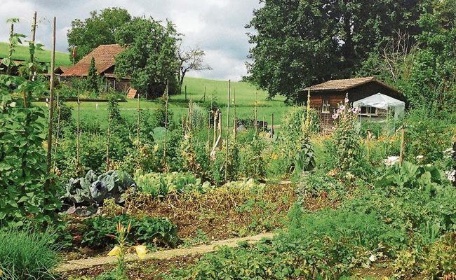 Ein Garten für nächstes Jahr?