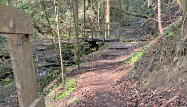 Zwischen Leid und Hoffnung Wege aus der Dunkelheit der Ohnmacht finden