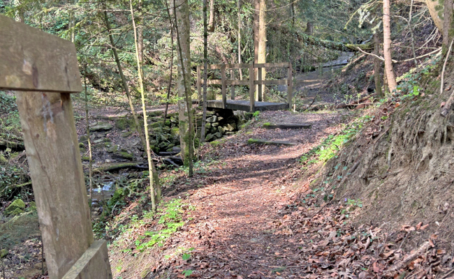 Zwischen Leid und Hoffnung Wege aus der Dunkelheit der Ohnmacht finden