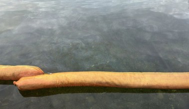 Öl aus Auto gelangt über Schacht in Werdenberger See: Massnahmen gegen Verursacher werden geprüft