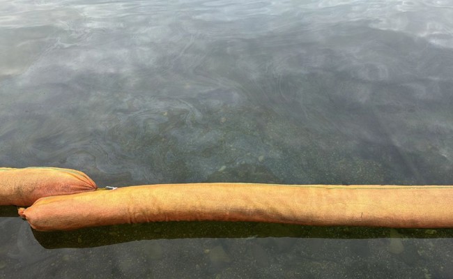 Öl aus Auto gelangt über Schacht in Werdenberger See: Massnahmen gegen Verursacher werden geprüft