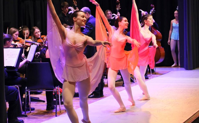 Alle Vorstellungen von «Karneval der Tiere» der Musik- und einer Ballettschule sind ausverkauft