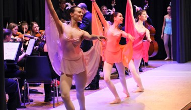 Alle Vorstellungen von «Karneval der Tiere» der Musik- und einer Ballettschule sind ausverkauft Alle Vorstellungen von «Karneval der Tiere» der Musik- und einer Ballettschule sind ausverkauft