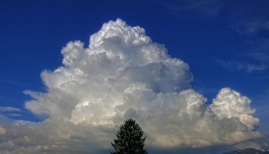 Gemäss Versicherung blies der Wind nicht stark genug – Sturmschaden nicht anerkannt