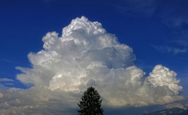Gemäss Versicherung blies der Wind nicht stark genug – Sturmschaden nicht anerkannt