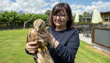 Mit Leidenschaft für die Natur: Der Greifvogelpark Buchs und Lucien Niggs Engagement für Artenschutz