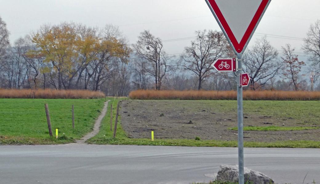 Weil das neue Wegstück in der Grünzone liegt, darf nicht asphaltiert werden. Stattdessen gibt es einen Andeergranit-Belag. 