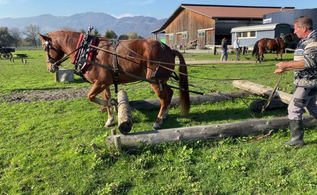 Holzrücker haben Verein gegründet