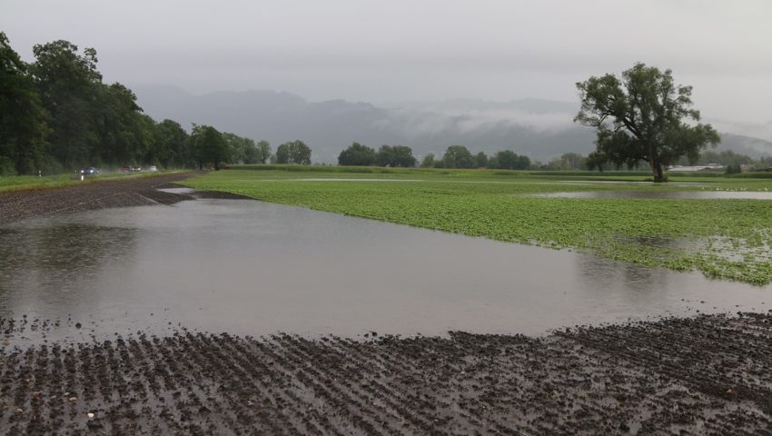 Der starke Regen setzt Felder unter Wasser und lässt Flüsse anschwellen Der starke Regen setzt Felder unter Wasser und lässt Flüsse anschwellen