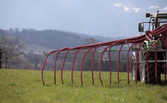 Gratwanderung beim Güllenentscheid