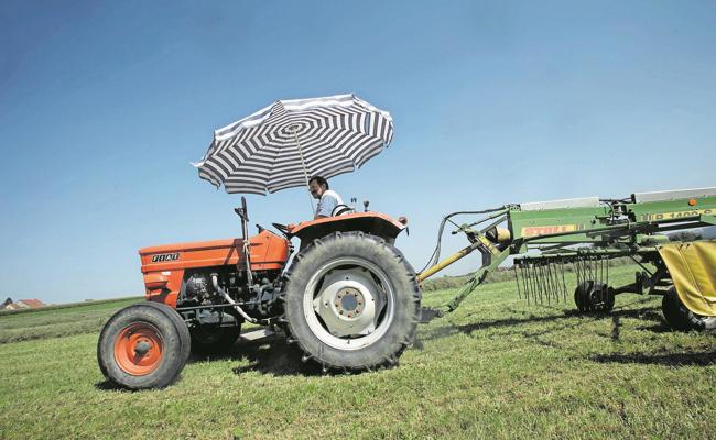 Trockene Sommer, nasse Winter