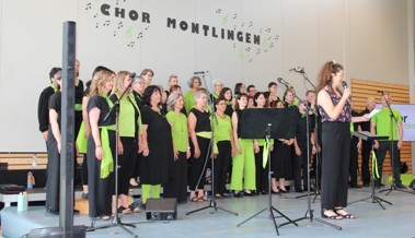 Chor verzaubert mit Lieblingsliedern aus 17 Jahren Vereinsgeschichte