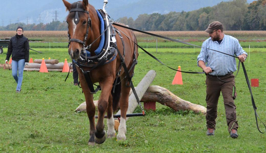 Rolf Lüchinger aus Kriessern (hier mit seinem zweiten Pferd Melissa) siegte in der Kategorie für Fortgeschrittene mit Aragon.