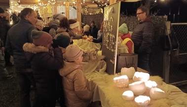 Schüler und Schülerinnen sammeln 2000 Franken für «A Million Dreams»