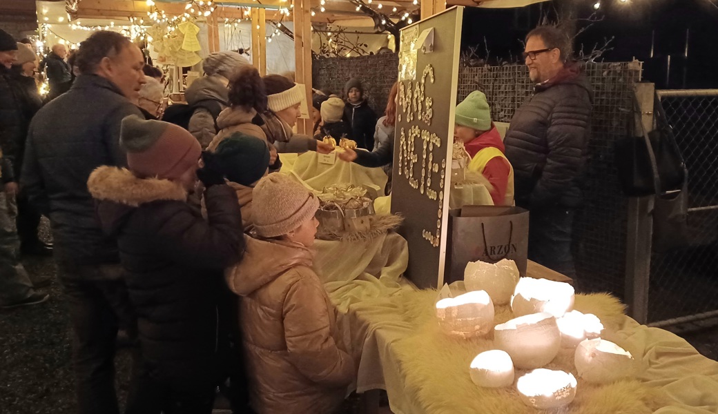 Schüler und Schülerinnen sammeln 2000 Franken für «A Million Dreams»
