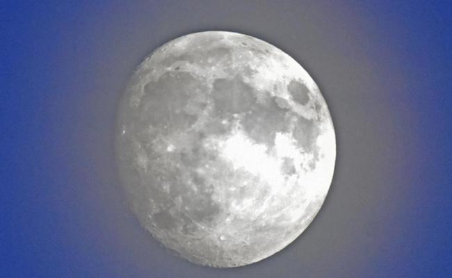 Garten: Der Mond als Buhmann