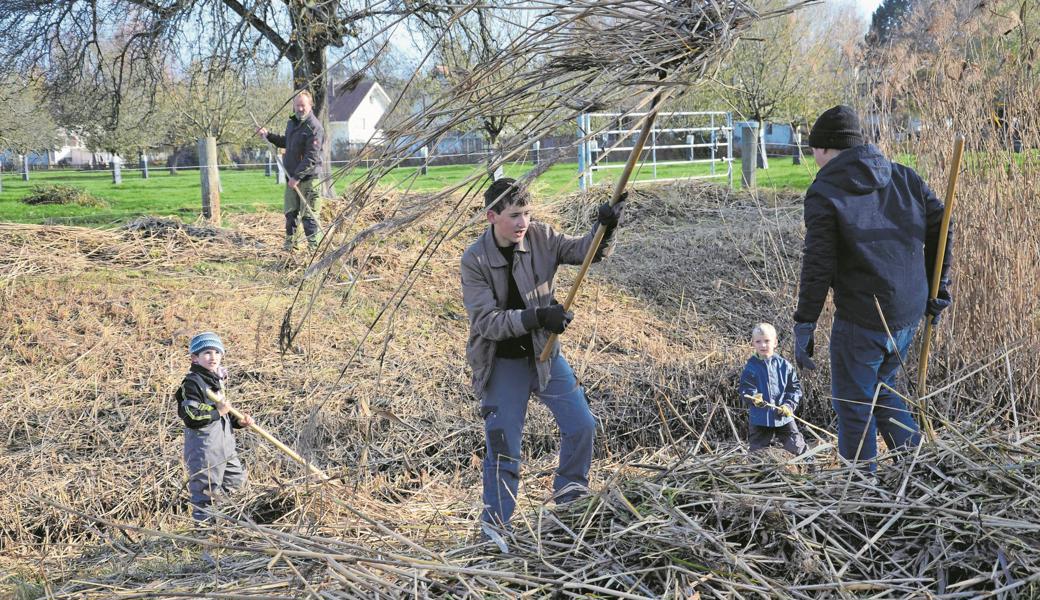 Die Wassergräben dienen dem Hochwasserschutz sowie als Lebensraum. Freiwillige befreien sie vom Schilf.