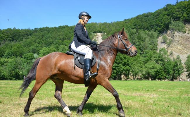 Unfall bei Reitturnier