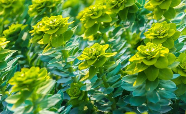 Promotion: Stress, Leistungsdruck und innere Unruhe