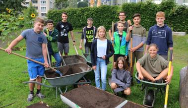 Schüler wurden zu Stadtgärtnern