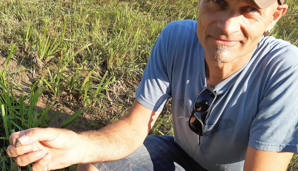 Gewässerwart Fridolin Scherrer entdeckt unter einem Stein im Kübach die Larve einer Köcherfliege. Die Fliege legt ihr Ei in einen Köcher aus Baumrinde und Pflanzen, um es zu schützen. «Leben im Bach ist immer ein gutes Zeichen für dessen Zustand», freut sich Scherrer. Allerdings ist die Nahrungsvielfalt der Fische in den Rheintaler Gewässern deutlich rückläufig. 
