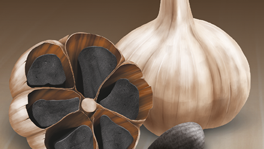 Natur für Herz und Hirn Natur für Herz und Hirn