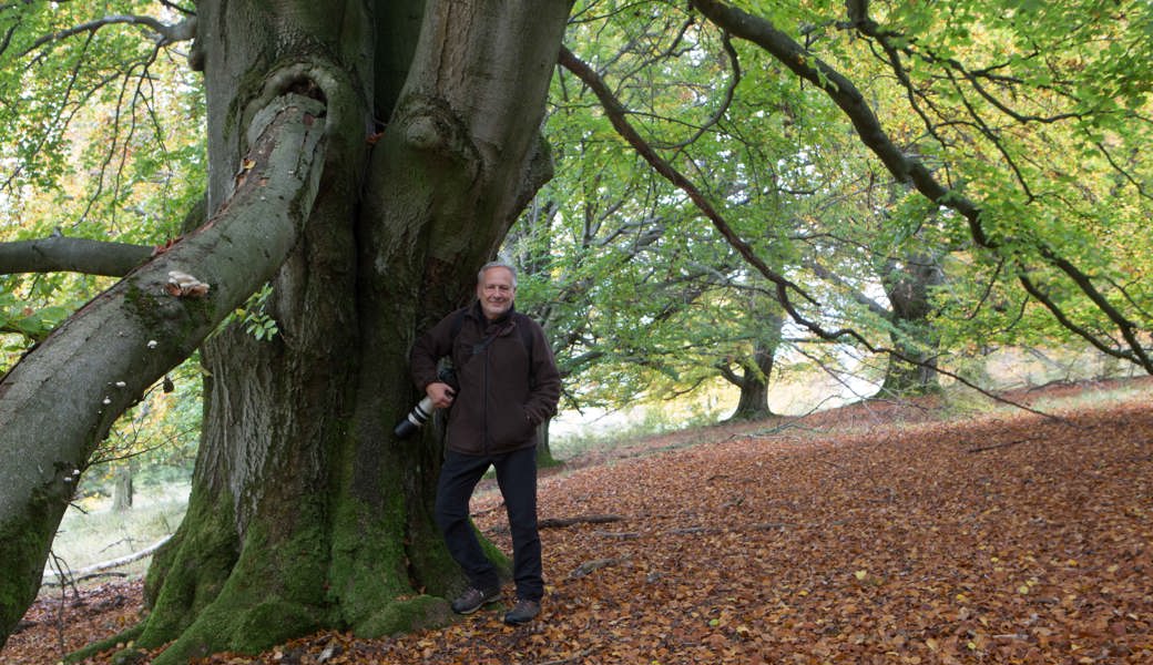  Conrad Amber ist Naturfotograf und besucht immer wieder alte Bäume. Sie sind selten geworden und sollten für unsere Nachwelt erhalten bleiben. Quelle:  conradamber.at