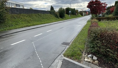 Neue Route Rheinstrasse: Haltestelle «Schmitter» soll ab Dezember definitiv eingerichtet werden