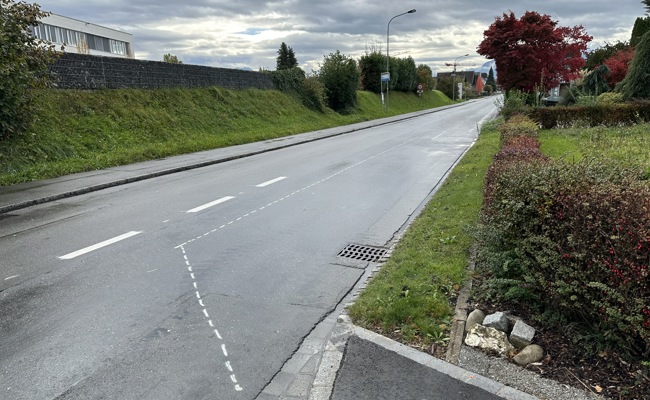 Neue Route Rheinstrasse: Haltestelle «Schmitter» soll ab Dezember definitiv eingerichtet werden