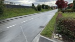 Neue Route Rheinstrasse: Haltestelle «Schmitter» soll ab Dezember definitiv eingerichtet werden