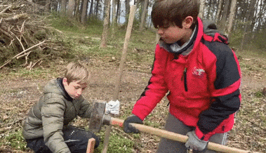 Schulkinder pflanzen 100 neue Bäume im Kriessner Wäldli