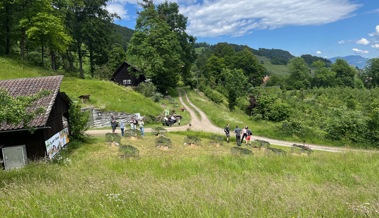 Naturschutzgebiet Held: Eine Ausstellung in einem kleinem Paradies