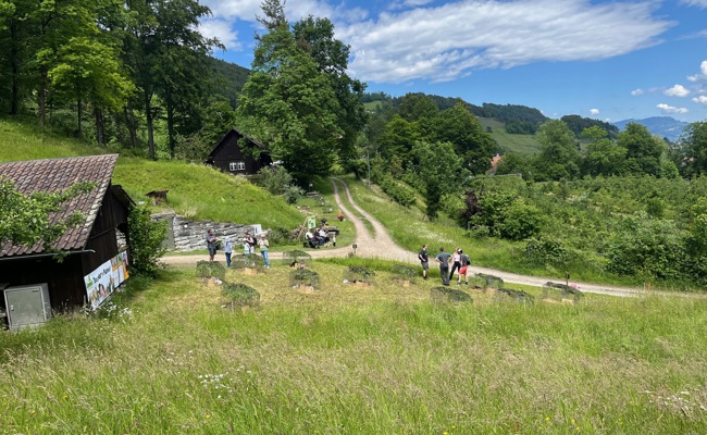 Naturschutzgebiet Held: Eine Ausstellung in einem kleinem Paradies