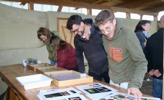 Naturschutzgruppe tauchte in die Welt der Schnecken ein