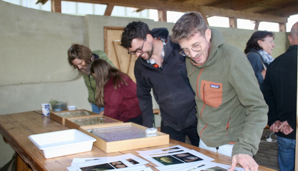 Katja Lassauer warb sie für einen respektvollen Umgang mit der Biodiversität unter den Füssen. 