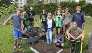Bald wächst Gemüse im Städtli 