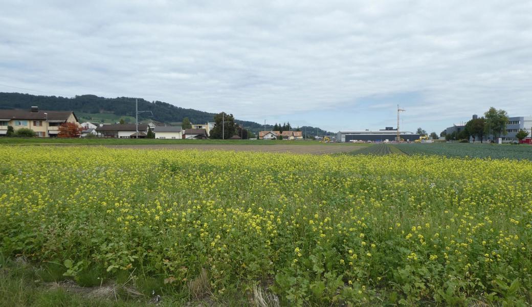 Vom Industrieland an der Bahnlinie in der Rosenbergsau blieben der Ortsgemeinde mit dem «Locher»-Neubau rund 9000 Quadratmeter freie Fläche übrig.