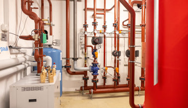 Diepoldsau startet «100in100»: Ölheizungen durch Wärmepumpen ersetzen