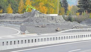 Alte Strünke als Schlupfwinkel