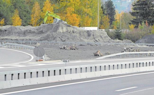 Alte Strünke als Schlupfwinkel