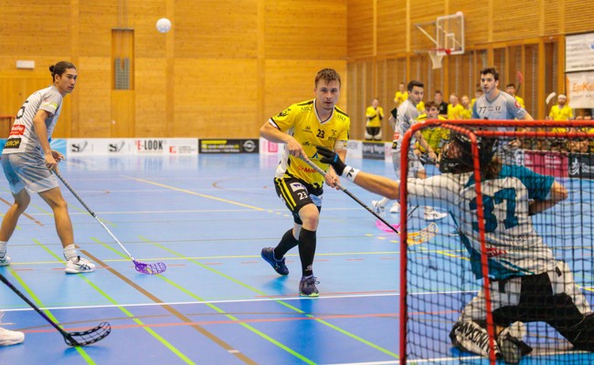 Zum ersten Mal spielen die Rheintal Gators gegen den UHC Winterthur United
