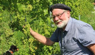 Von Pilz befallen oder zerstört