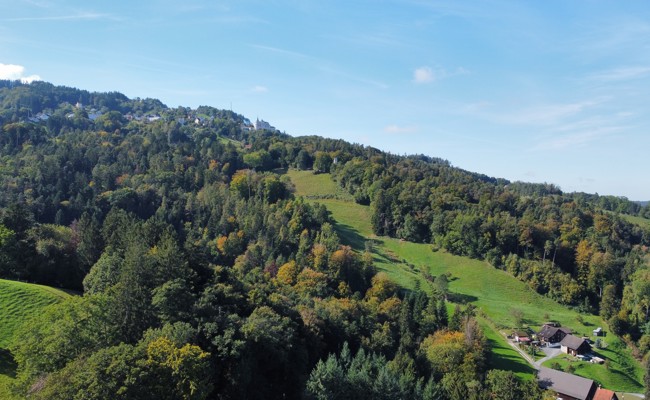 «Das letzte schöne, natürliche Gebiet der Gemeinde»: Apfelberg soll Schutzgebiet werden