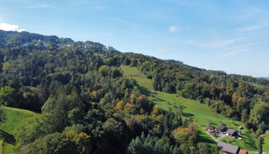 «Das letzte schöne, natürliche Gebiet der Gemeinde»: Apfelberg soll Schutzgebiet werden