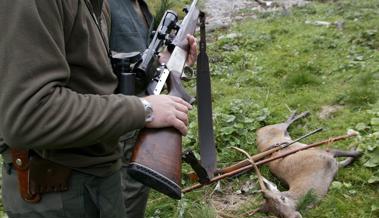 Hirsch gewildert
