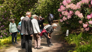 60Plus besuchte Zwinglikirche und Seleger Moor