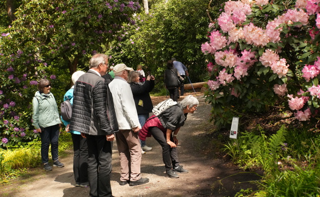 60Plus besuchte Zwinglikirche und Seleger Moor