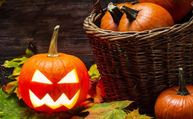 Halloween: Es gibt wieder Kontrollen