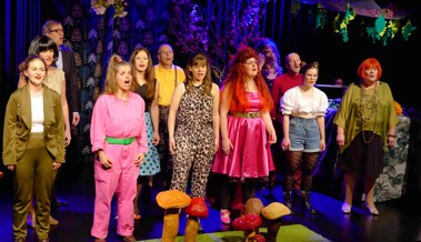 Premiere der Eigenproduktion des «Diogenes»-Chors am Samstag