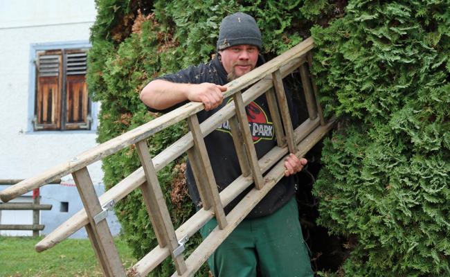 Amors Pfeil zielt auf Bauer Patrik